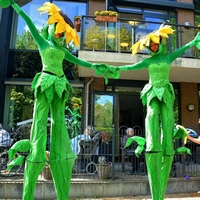 Dancing Sunflower - TopActs.nl - 6