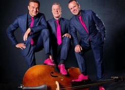 Trio De Flamingo's - TopActs.nl - 246-176